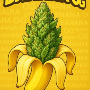 🍌 Banana OG Profile: Sweet, tropical banana notes with a diesel undercurrent Experience: Relaxing, full‑body melt with a euphoric lift Why It’s Special: Cultivated in ultra‑limited batches by Serge Cannabis, ensuring top‑shelf potency and terp freshness