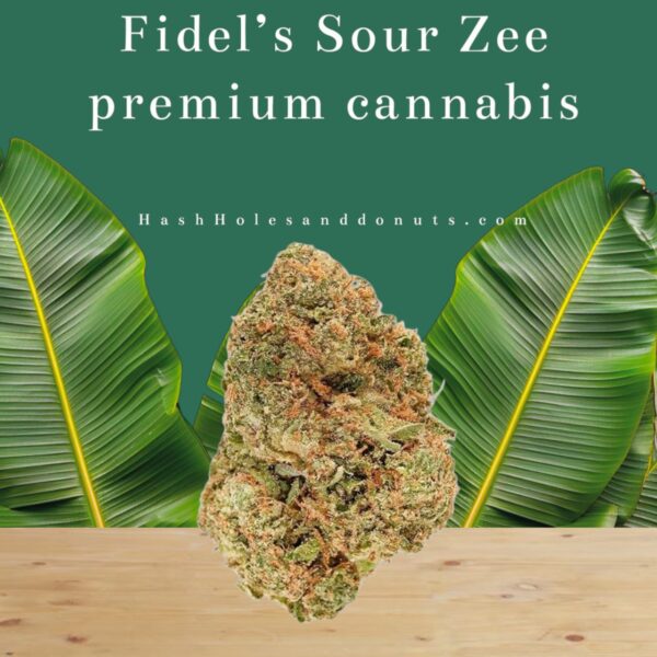 FIDELS SOUR ZEE FOR SALE