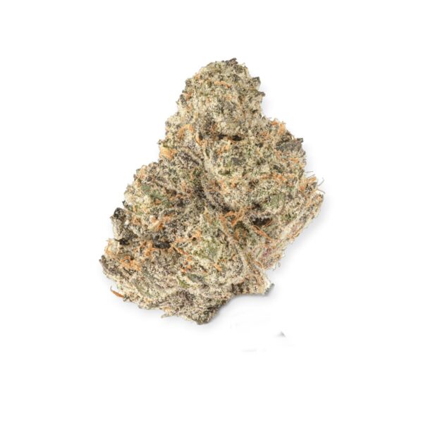 FIDELS BLOOD ORANGE - Image 2